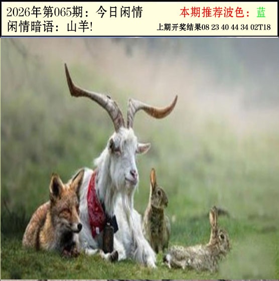 065期今日闲情2[图]