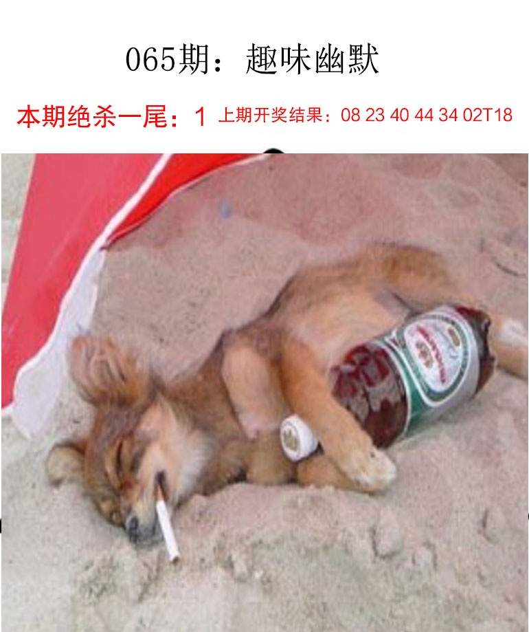 065期趣味幽默[图]