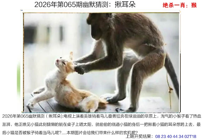 065期幽默猜测[图]