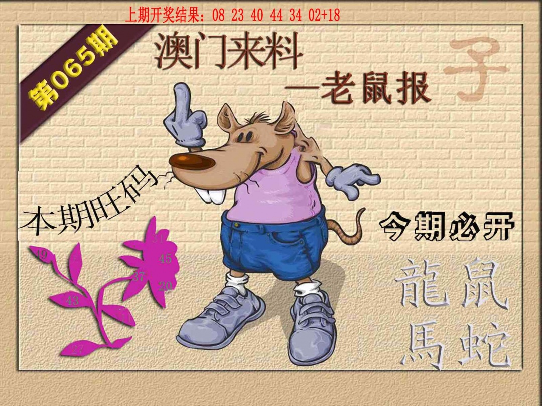 065期(来料)鼠报[图]