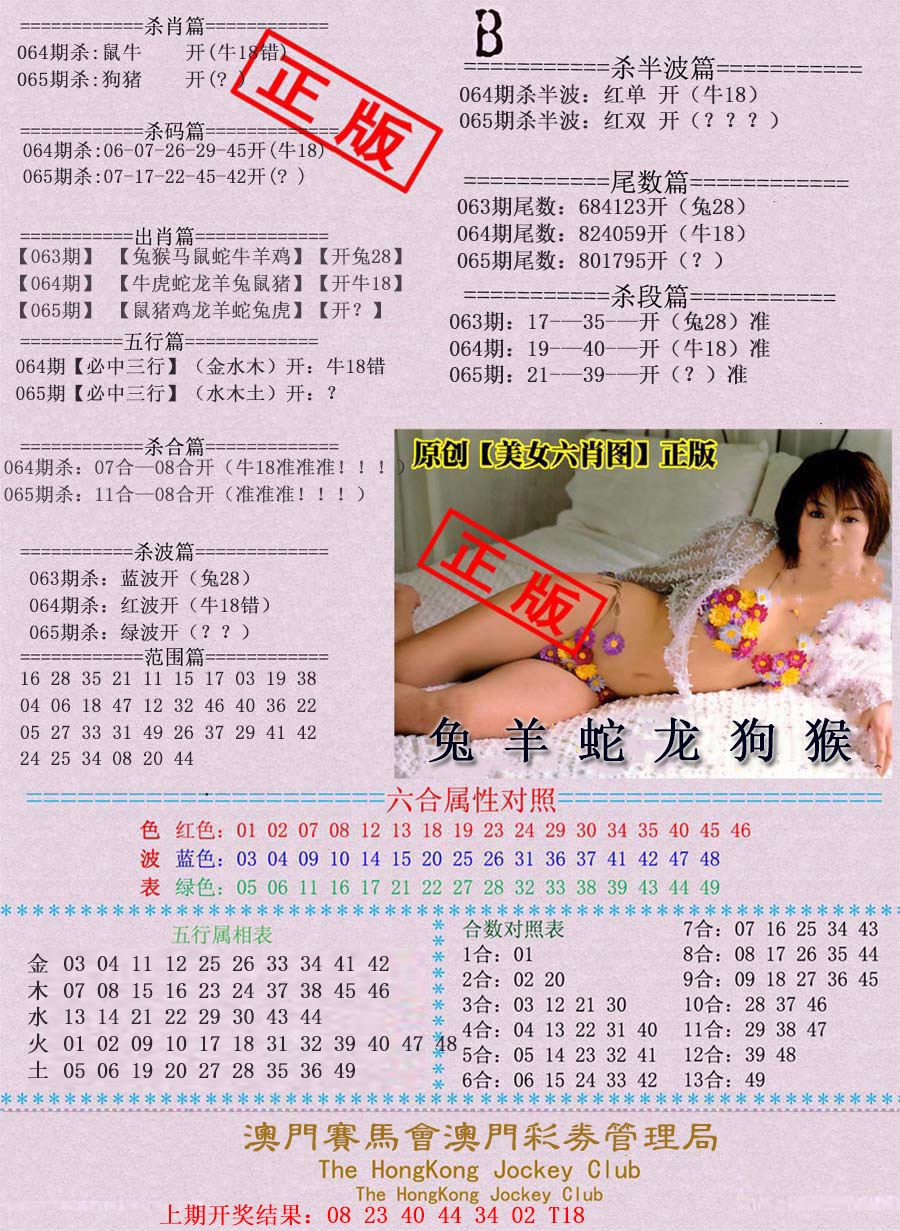 065期通缉令-2[图]