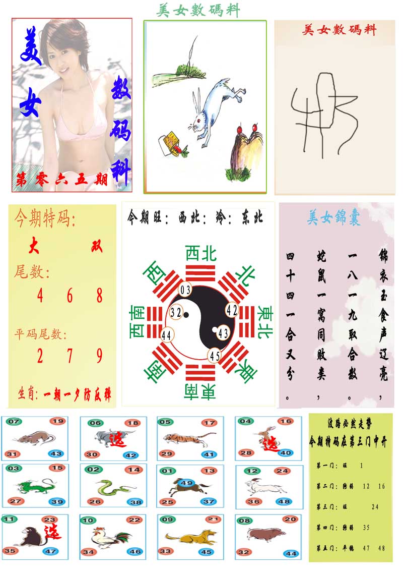 065期美女数码料[图]