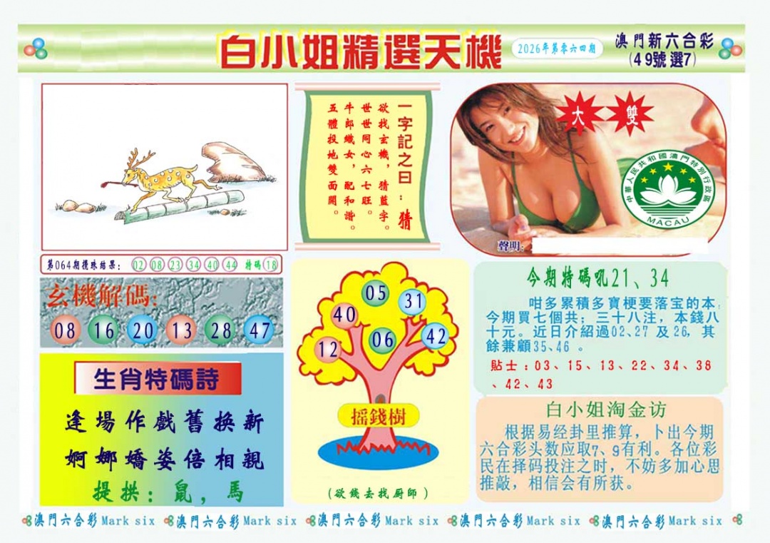 065期白小姐精选玄机A[图]