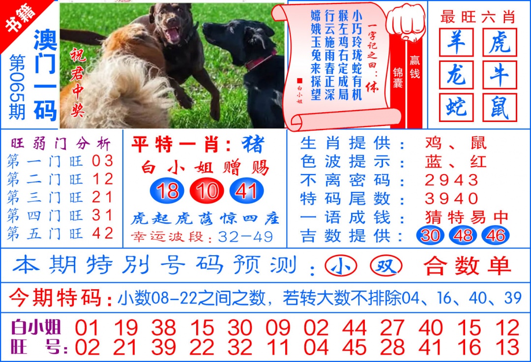 065期澳门飞龙宝典[图]