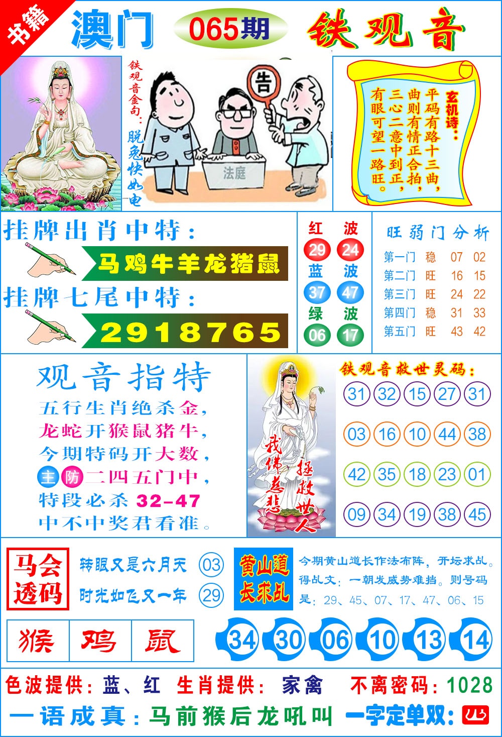 065期澳门铁观音[图]