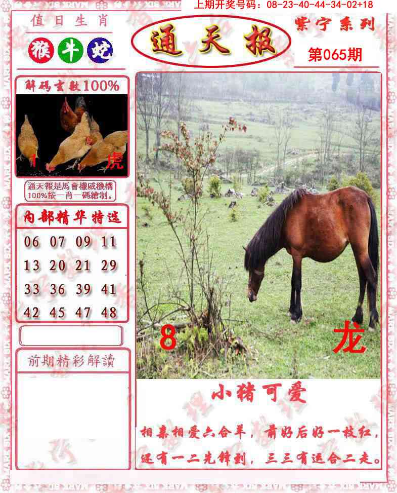 065期救通报[图]