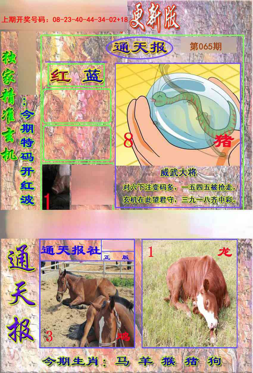 065期新通报[图]