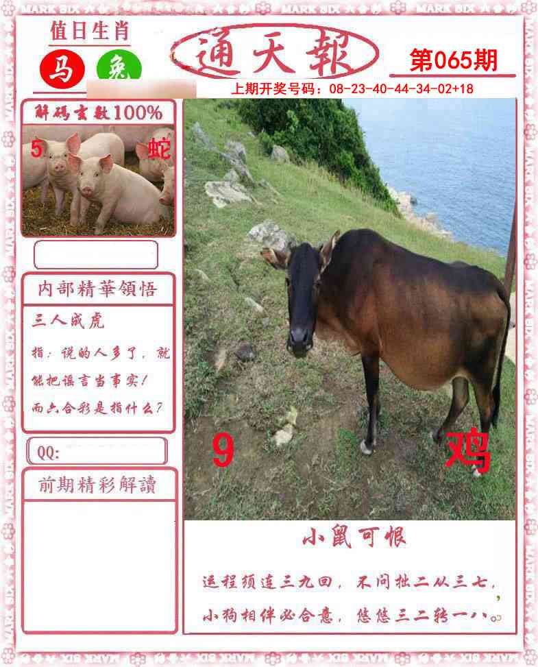 065期正版通天报[图]