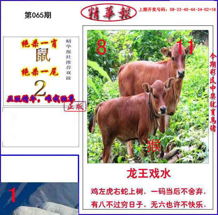 065期新精华报报[图]