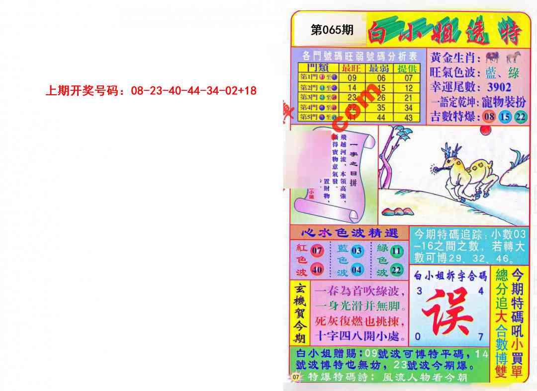 065期白小姐透特[图]