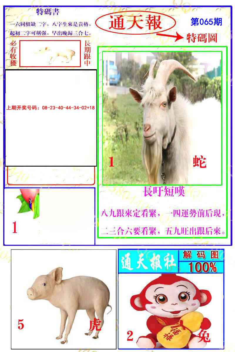 065期通天特解图[图]