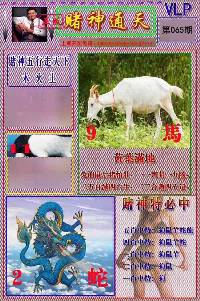 065期赌神通天报[图]