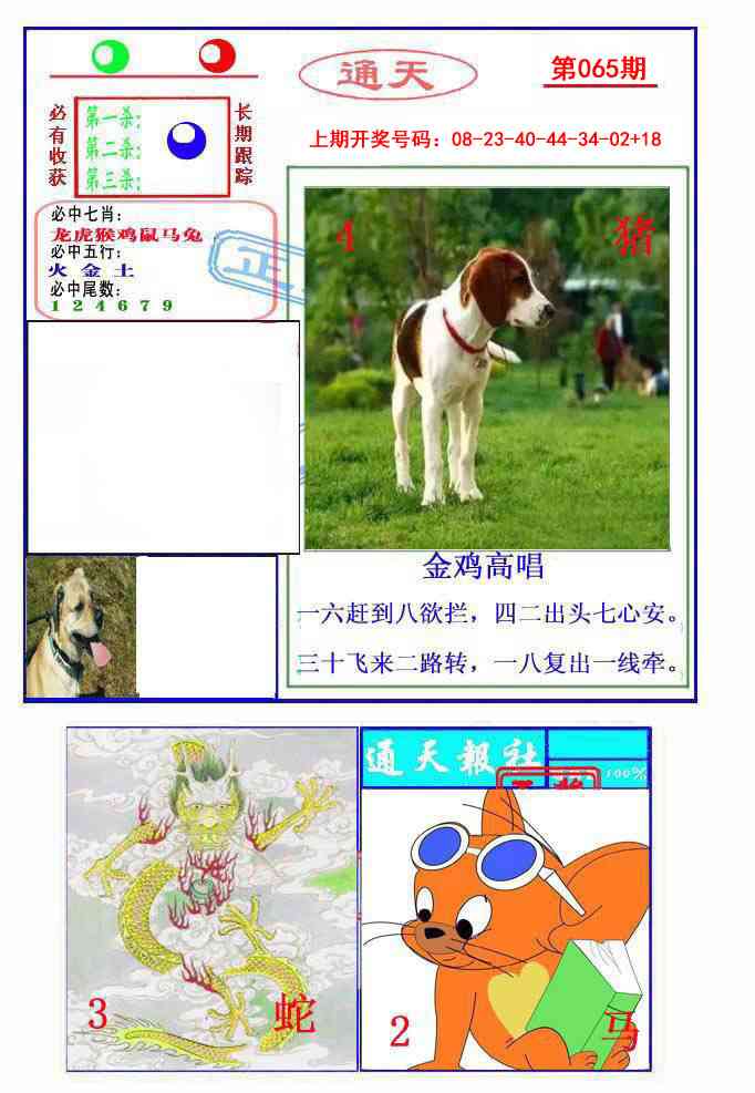 065期通天杀波图2[图]