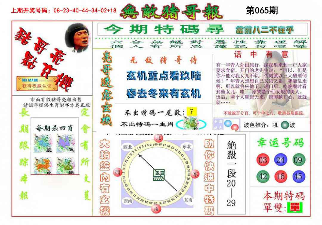 065期无敌猪哥[图]