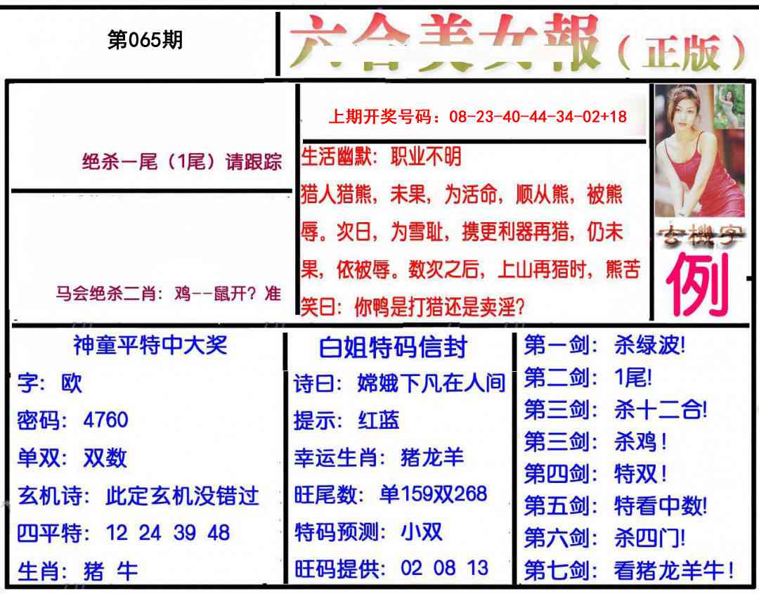 065期美女报[图]
