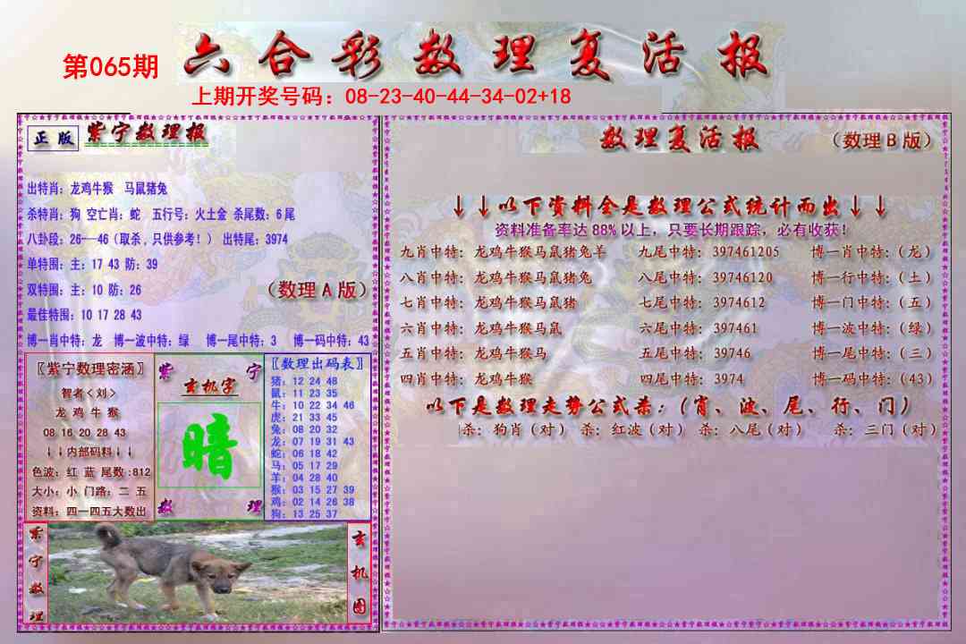 065期数理复活报[图]