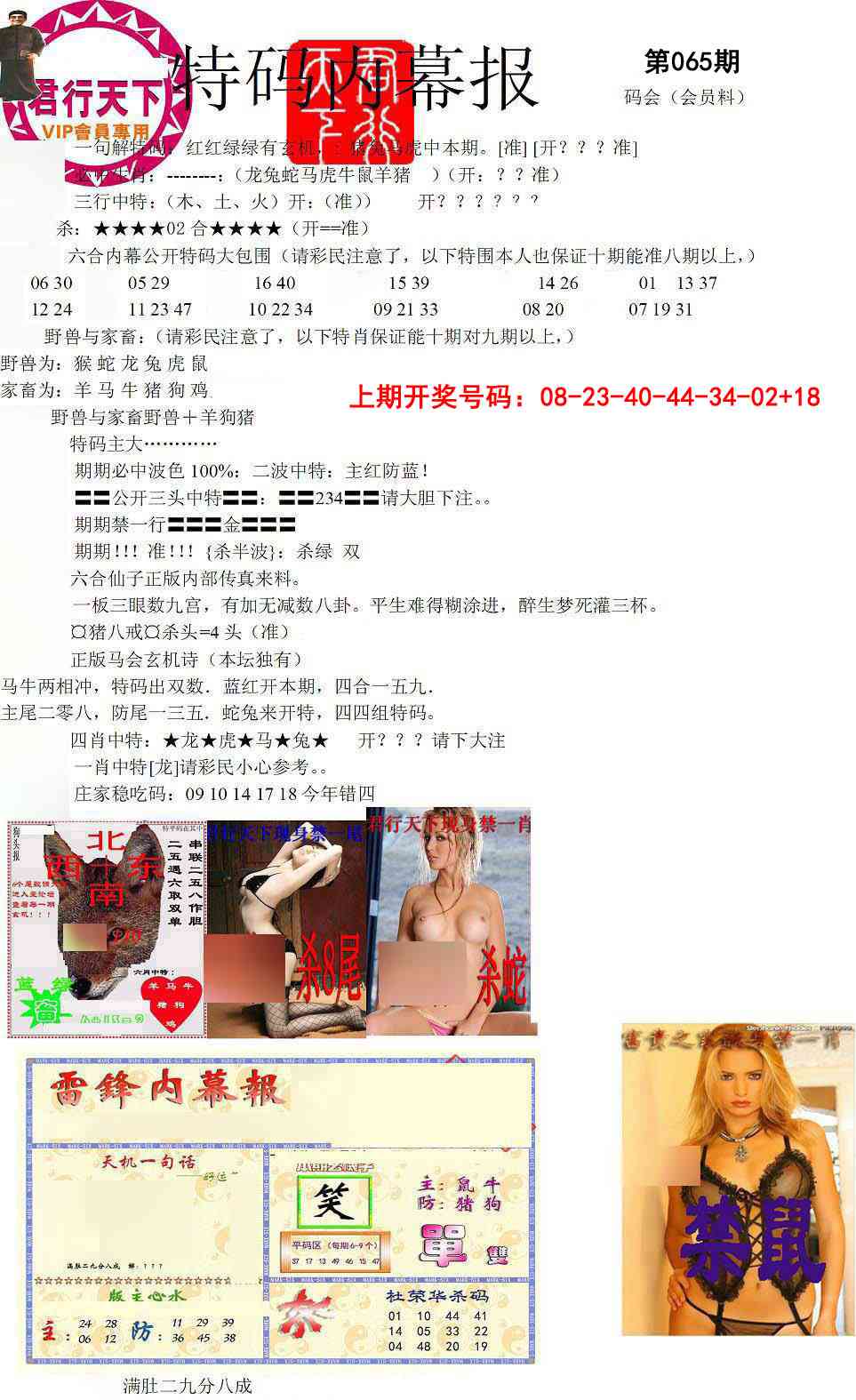 065期特码内幕报[图]