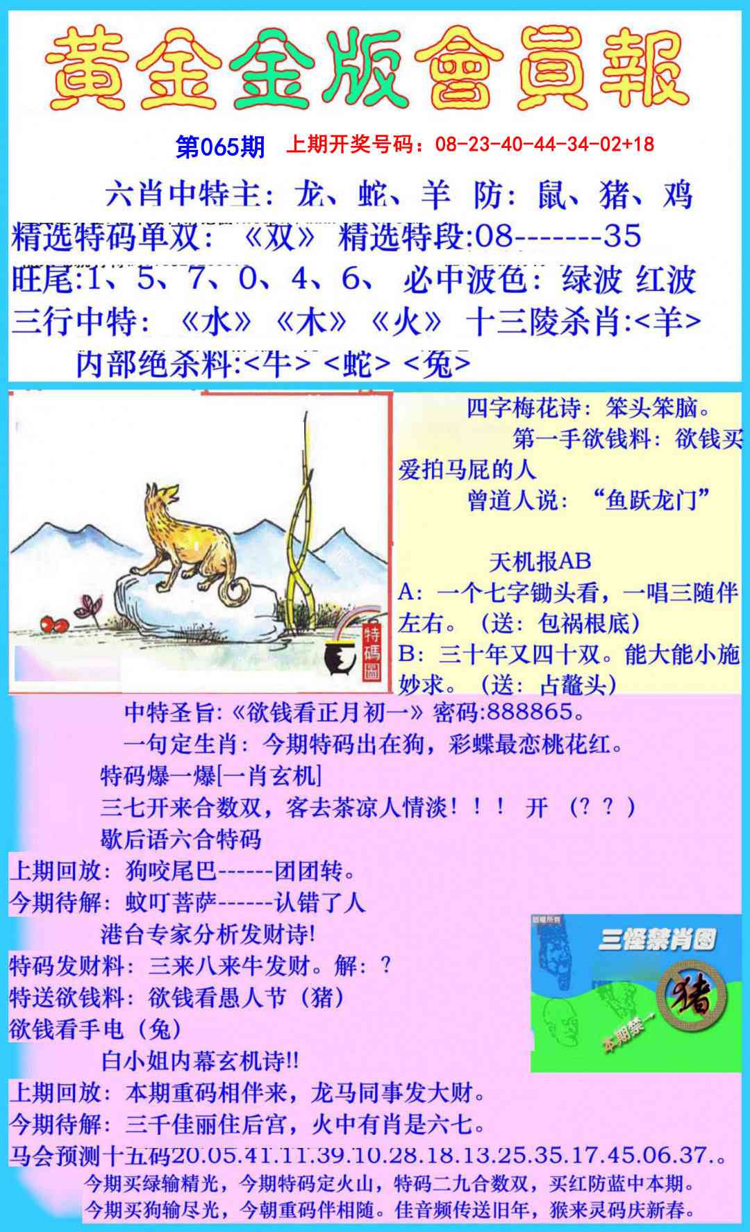 065期黄金金版会员报[图]