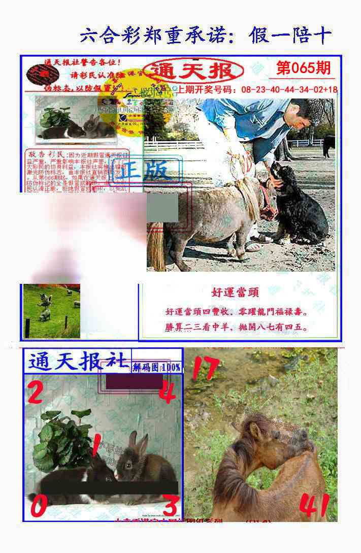 065期假一陪十通天报[图]