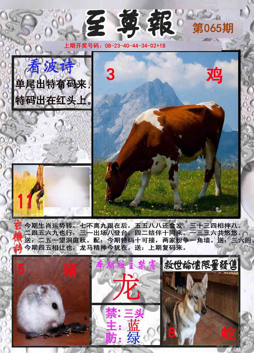 065期至尊报[图]