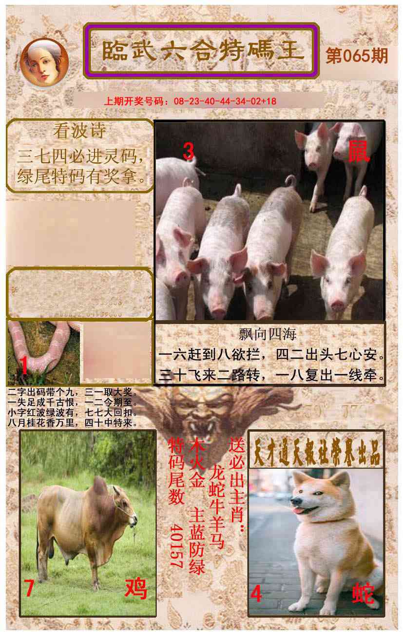 065期临武六合特码王[图]
