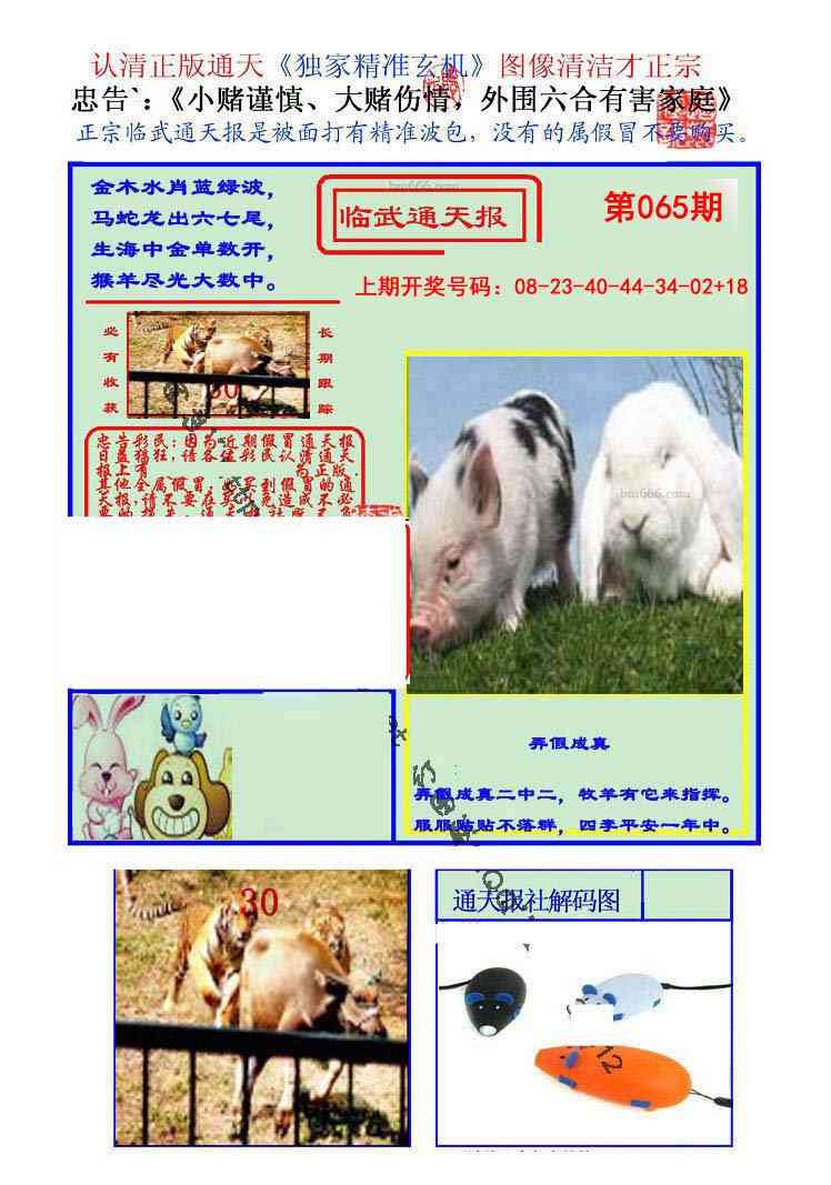 065期临武通天报[图]