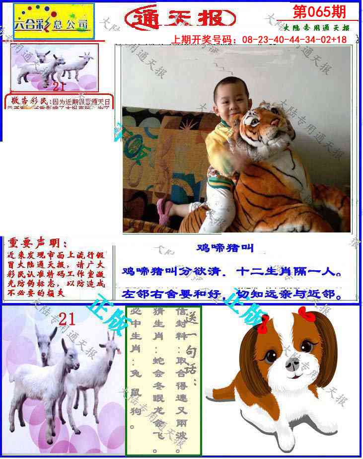 065期大陆通天报[图]