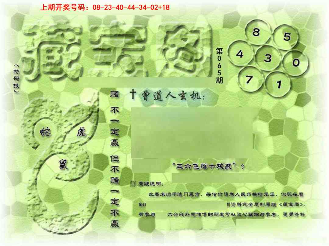 065期假新藏宝图[图]