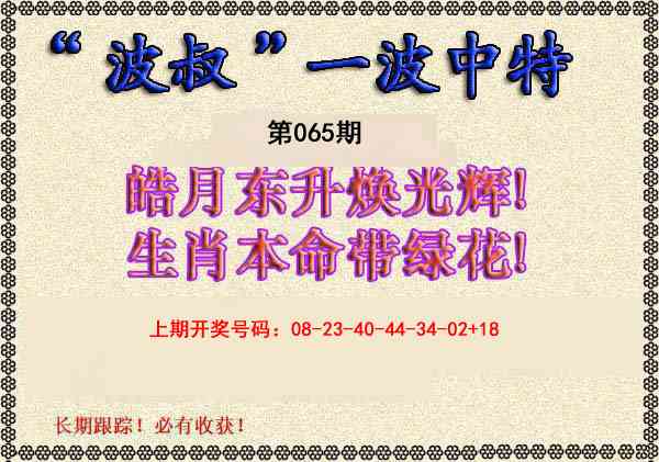 065期波叔一波中特[图]