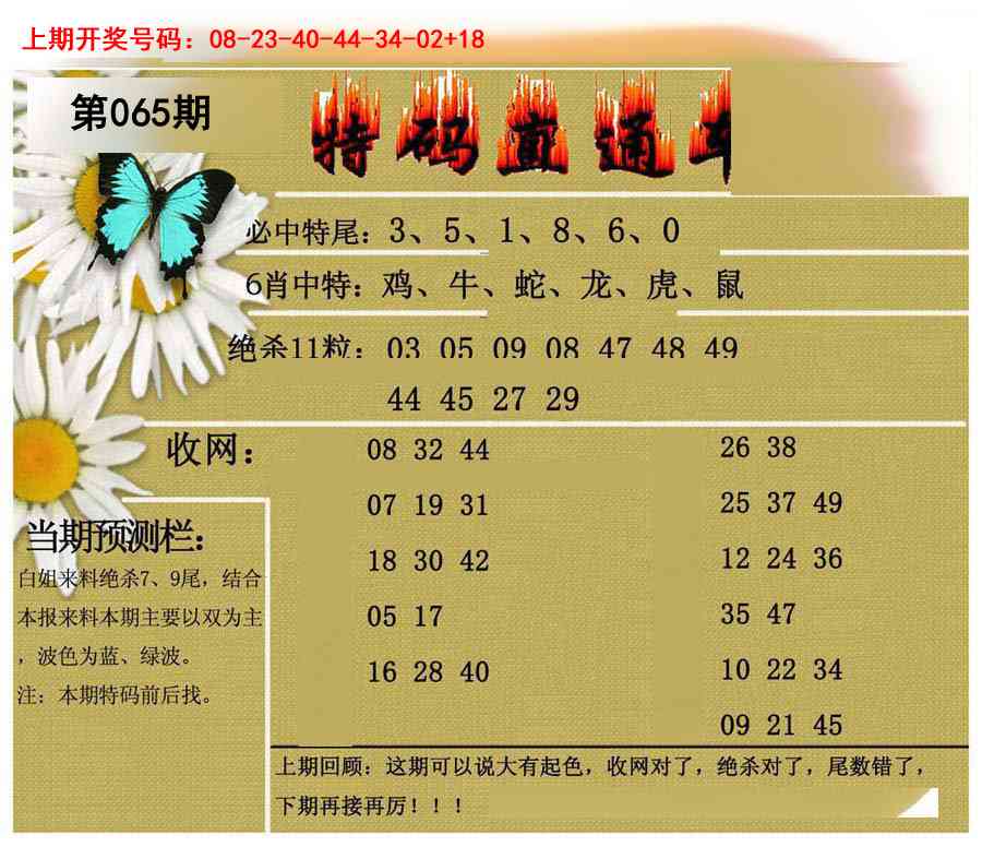 065期特码直通车[图]