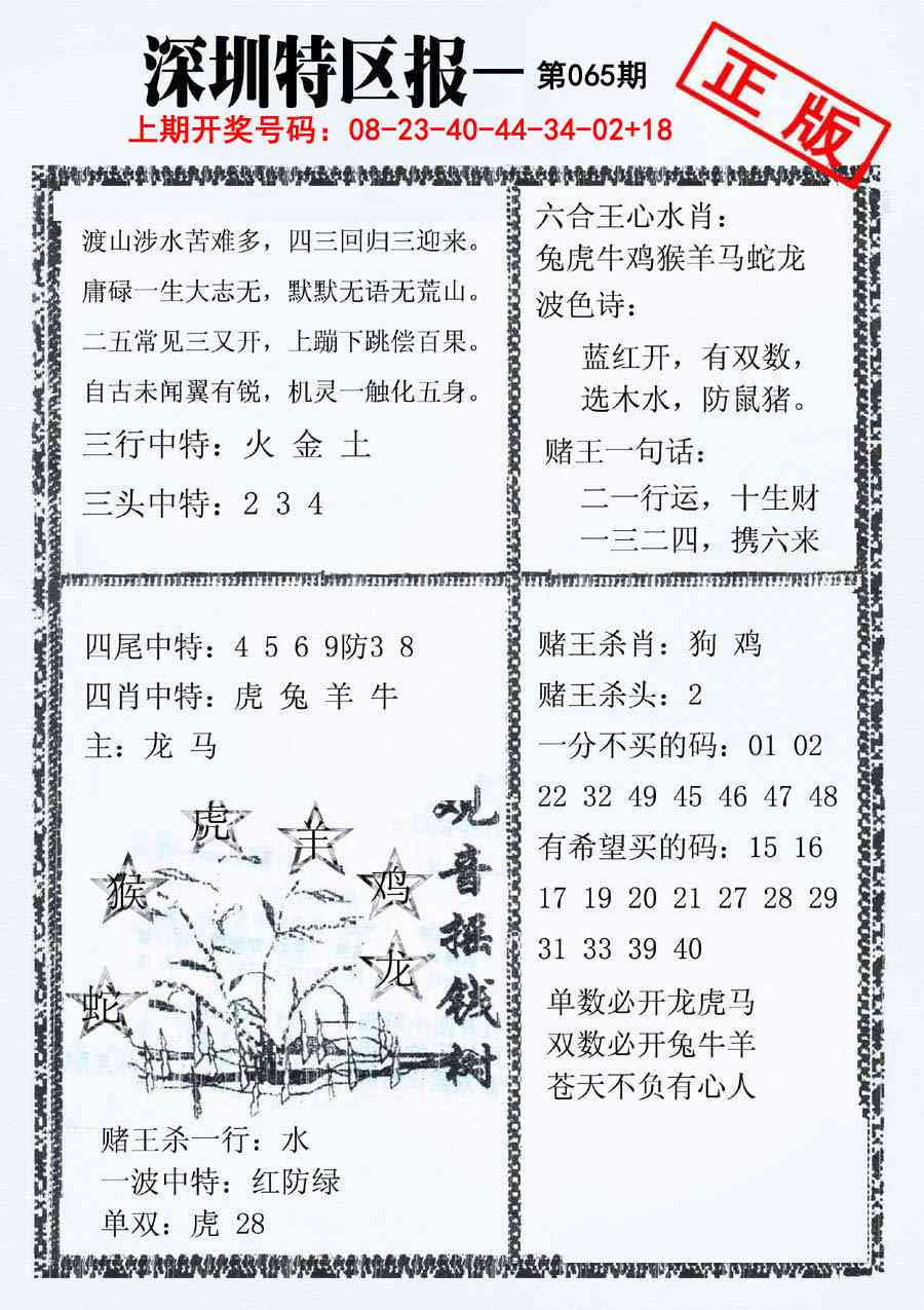 065期深圳特区报A[图]