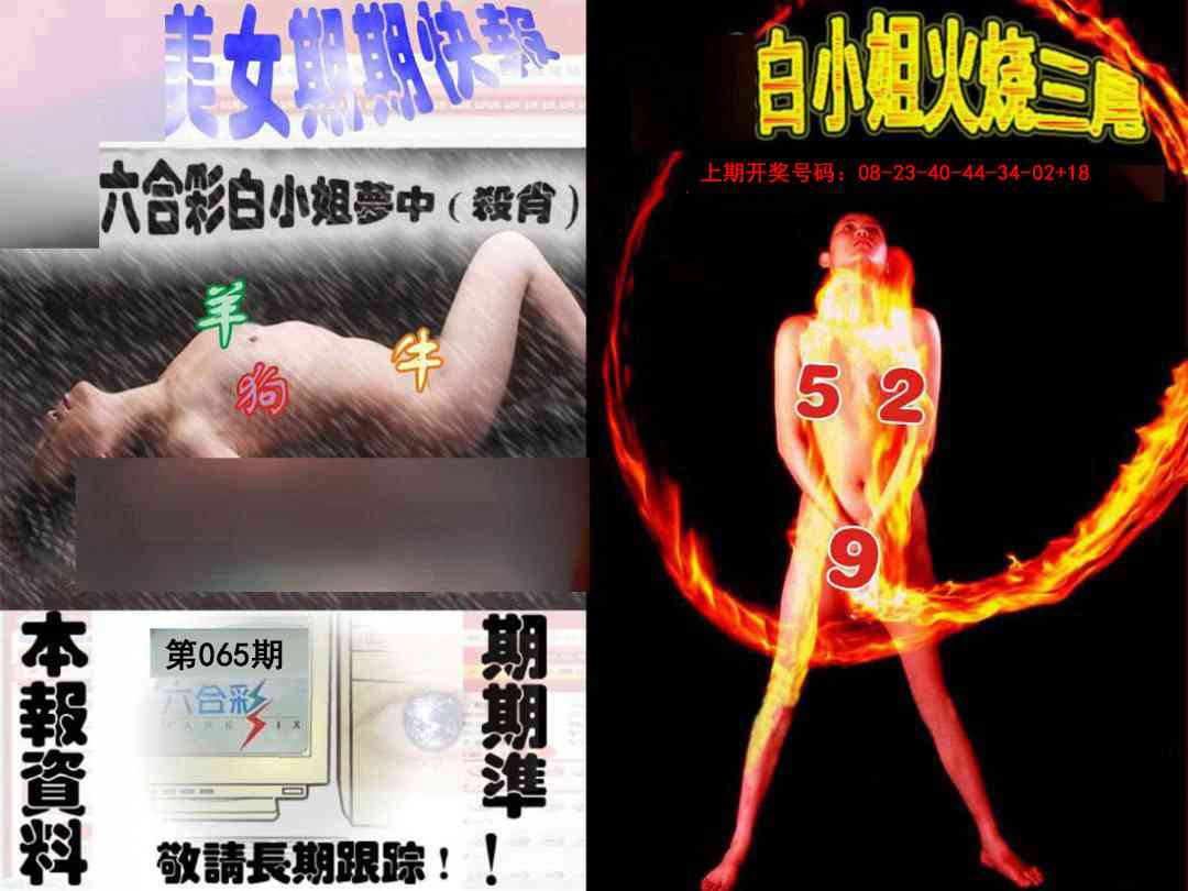 065期环球美女特码报[图]
