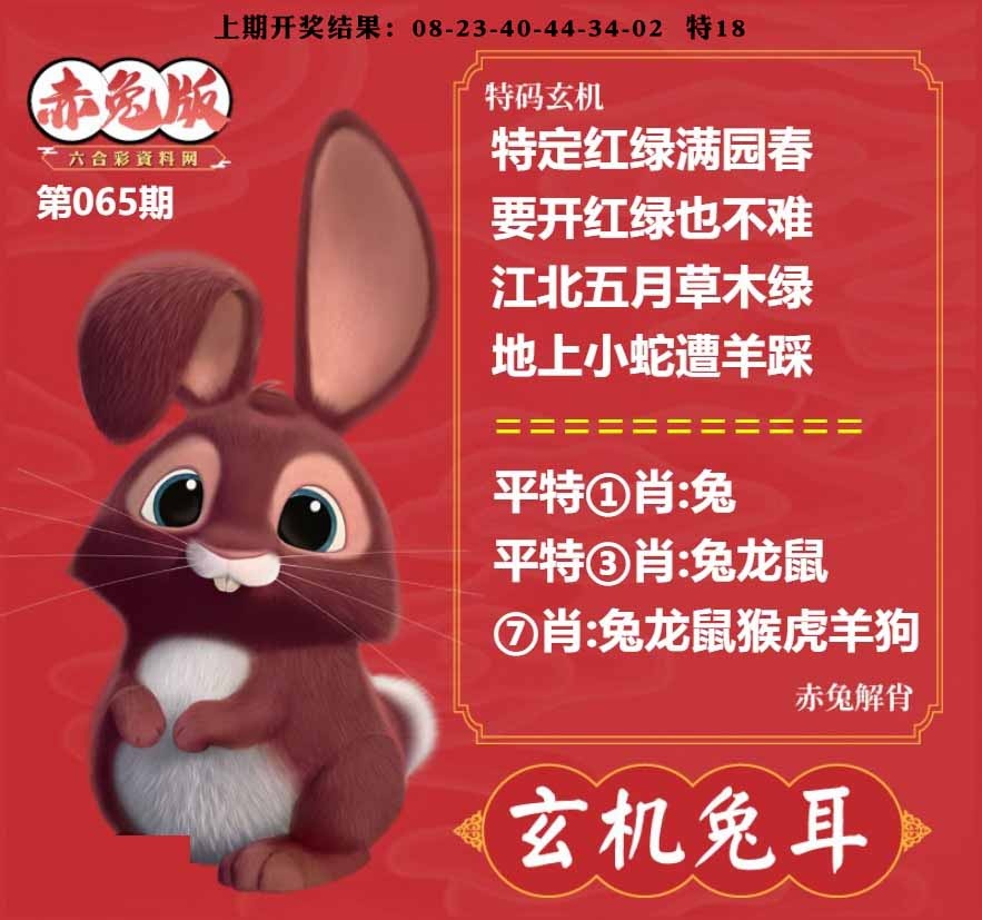 065期玄机兔耳[图]