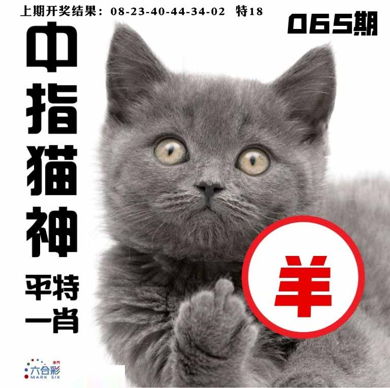 065期中指猫神[图]