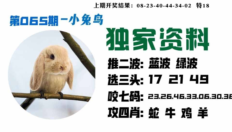 065期小兔鸟[图]